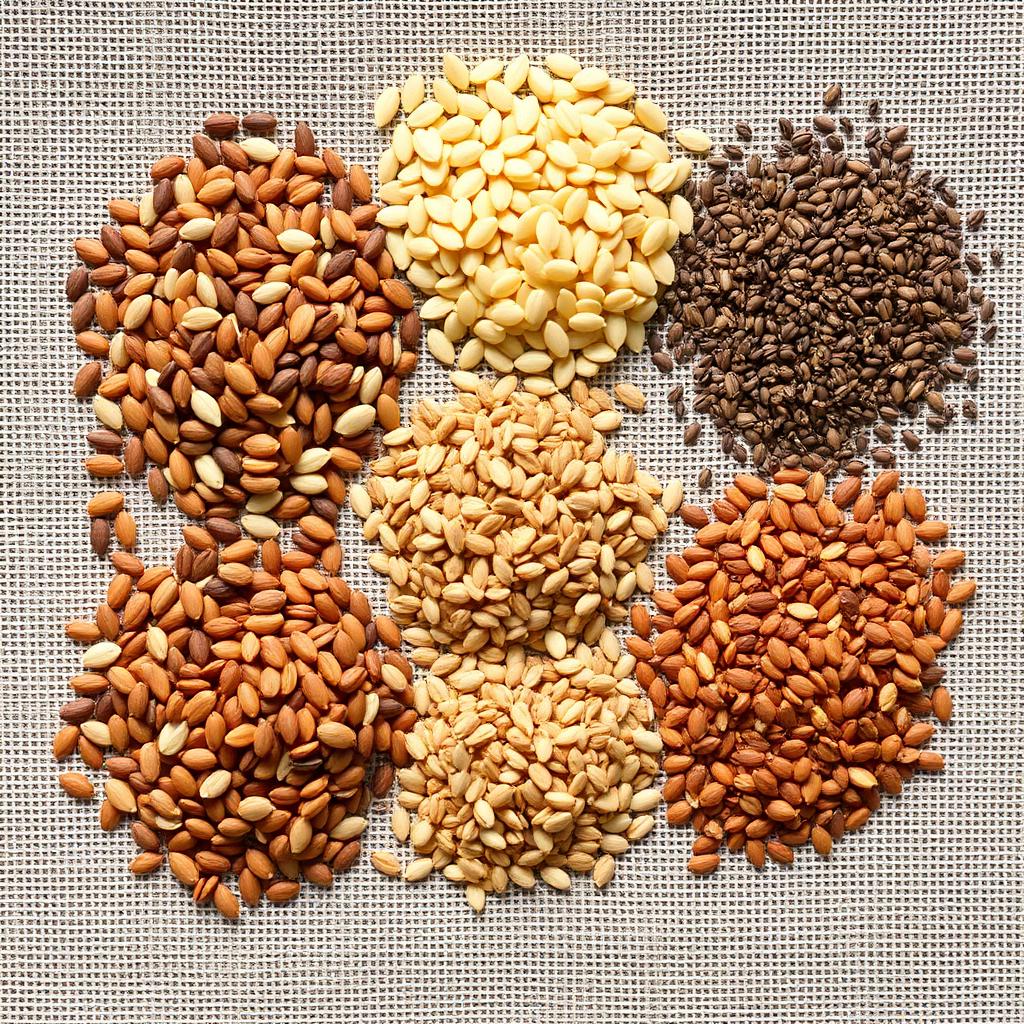 Seeds